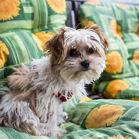 Beaches & Park Marjan * Spalato