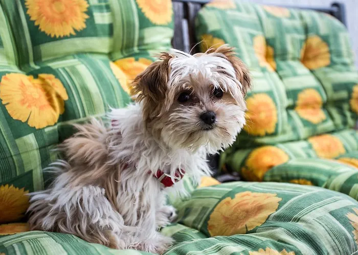 Beaches & Park Marjan * Split